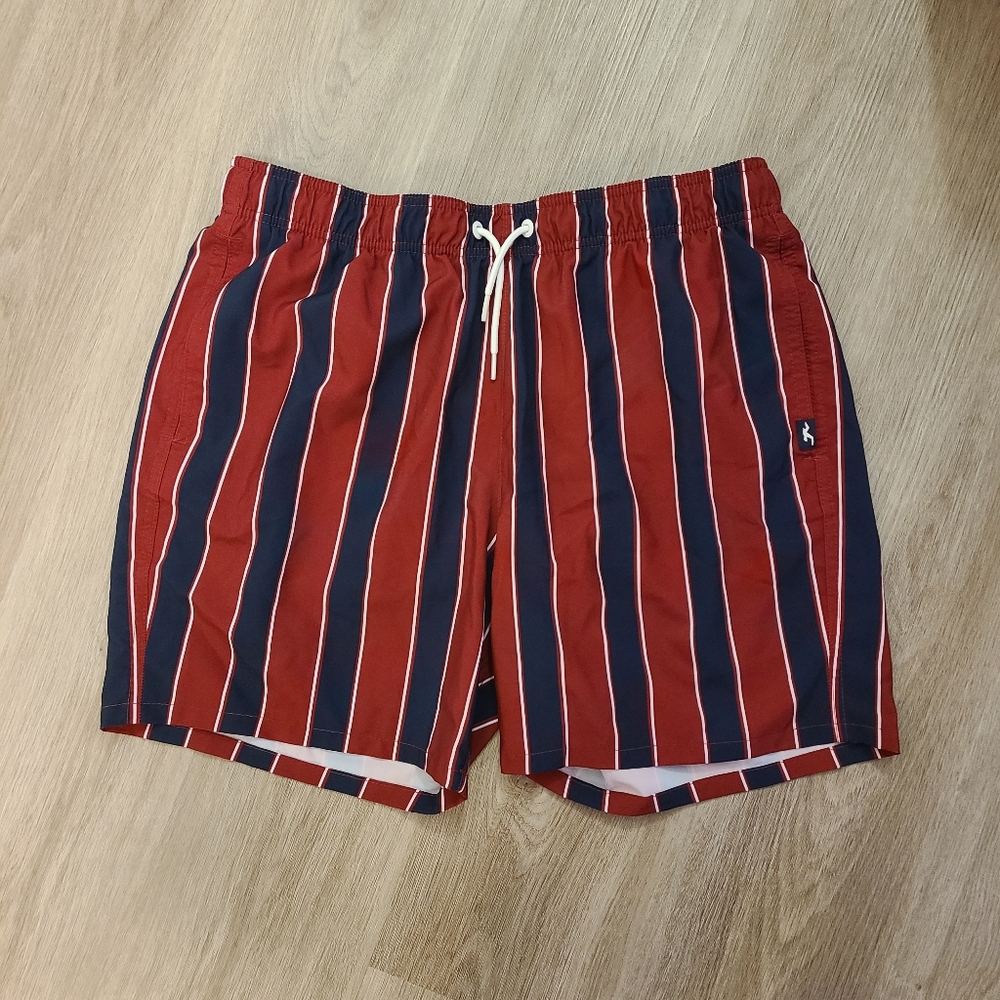 Hollister Mens Stetch Shorts